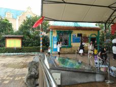 阆中-YoYo_6K6E0N6A