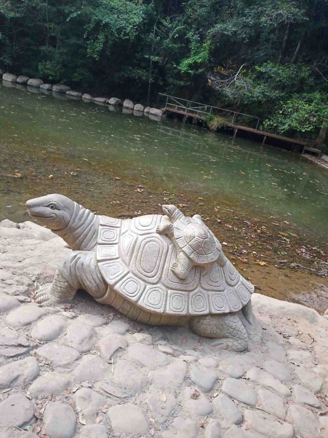 屏山悬索玻璃桥旅行图片 6