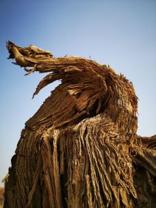 塔里木沙漠公路-且末-梦想成真了啊