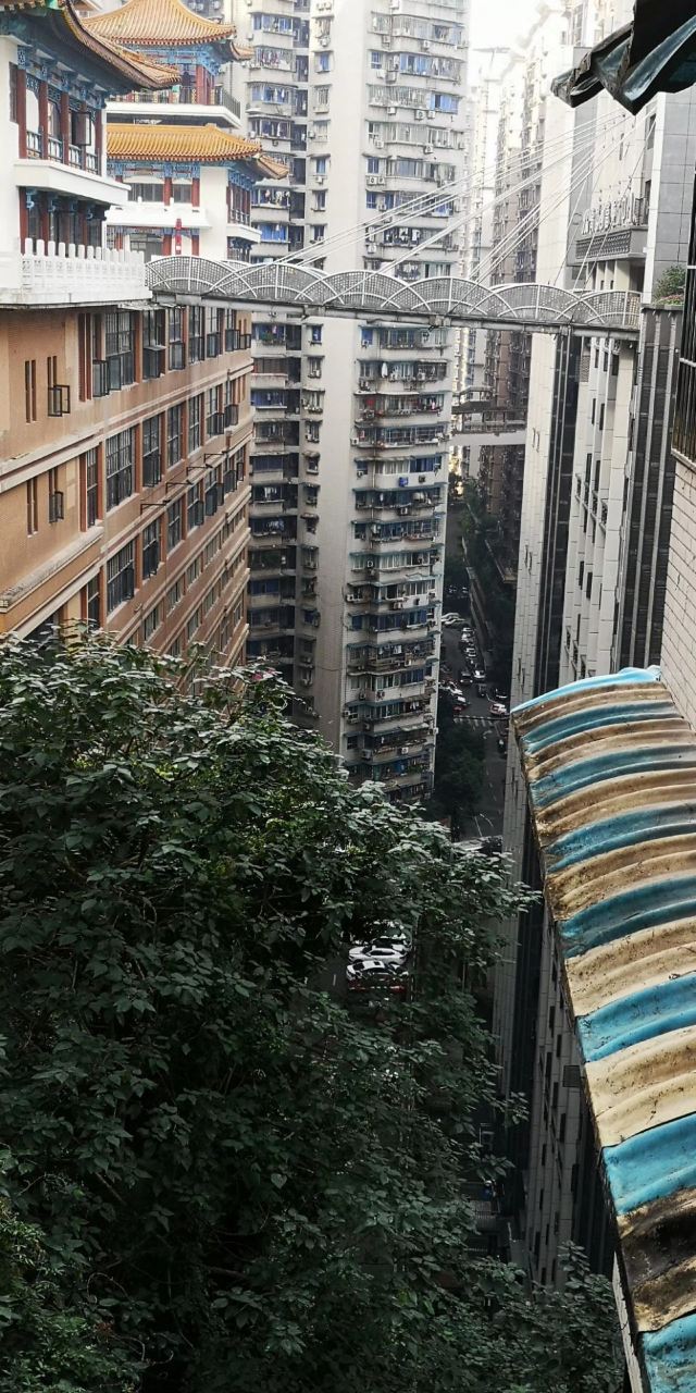 魁星楼旅行图片 2