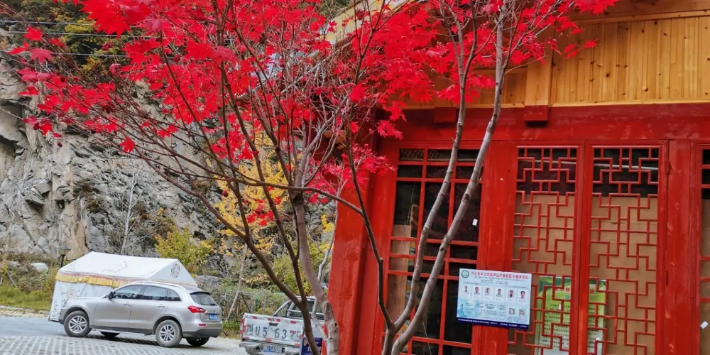 永安旅遊