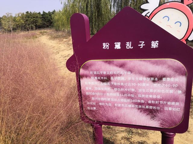 郭兴庄园旅行图片 4