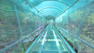 昆明7月去哪玩？丨这些超适合夏天的项目，谁都无法拒绝！