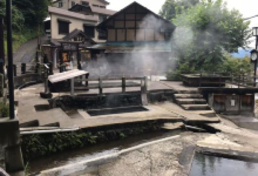 Uenodairakogen景点图片