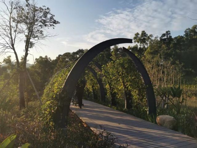 金钟水库旅行图片 6