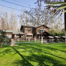 滨湖国家森林公园-合肥-CNG一