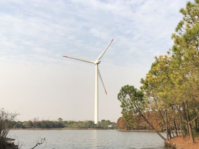 上海滨海森林公园旅行图片 3