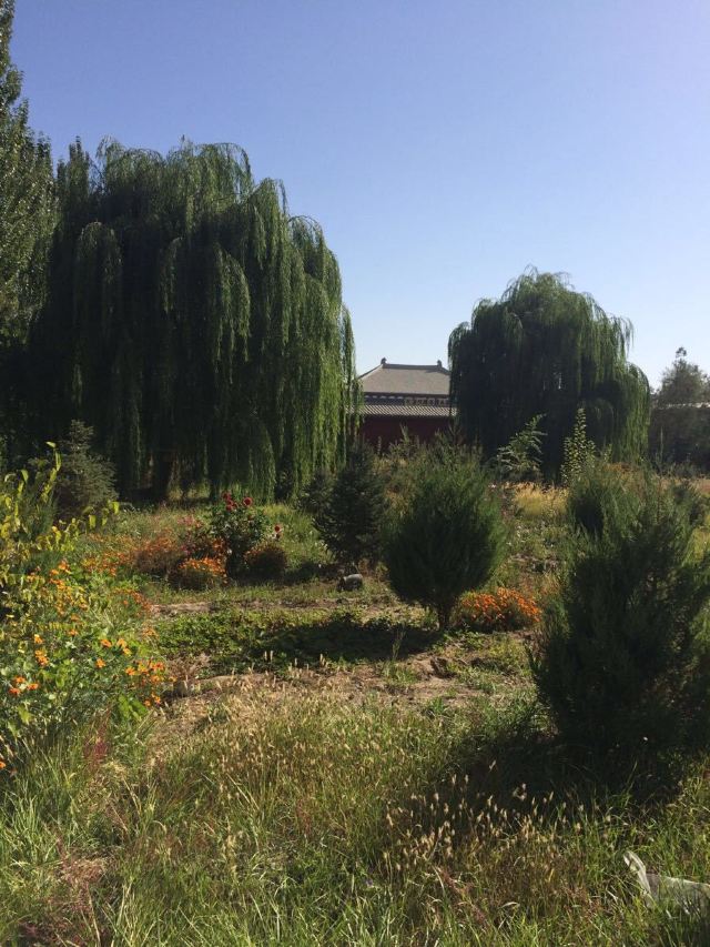 雷音寺旅行图片 3