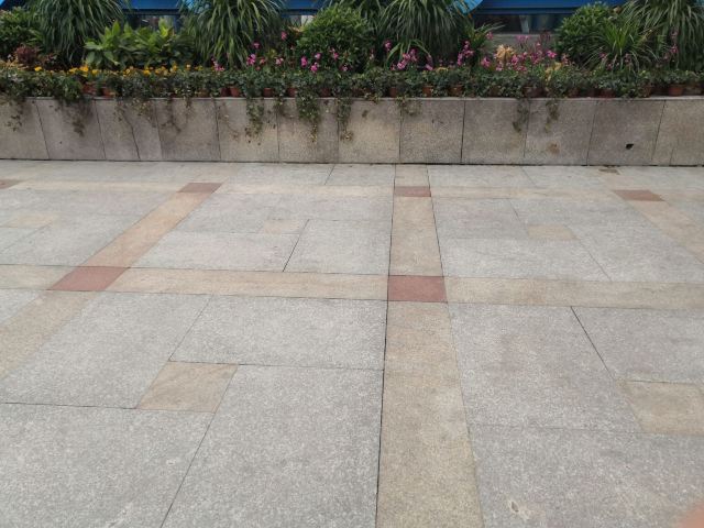 丽都花园旅行图片 1