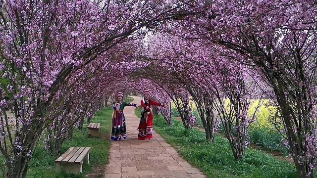 河滨公园旅行图片 1