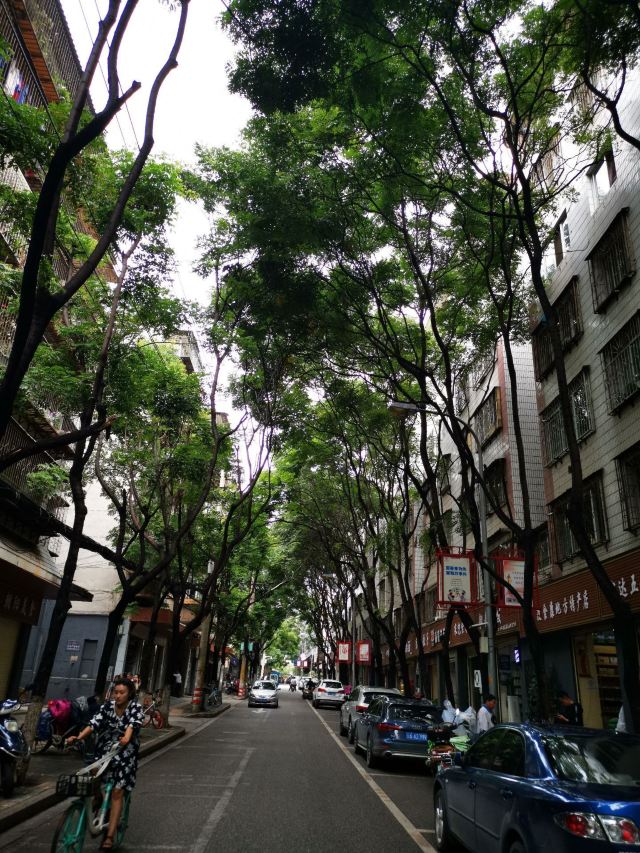 河滨公园旅行图片 3