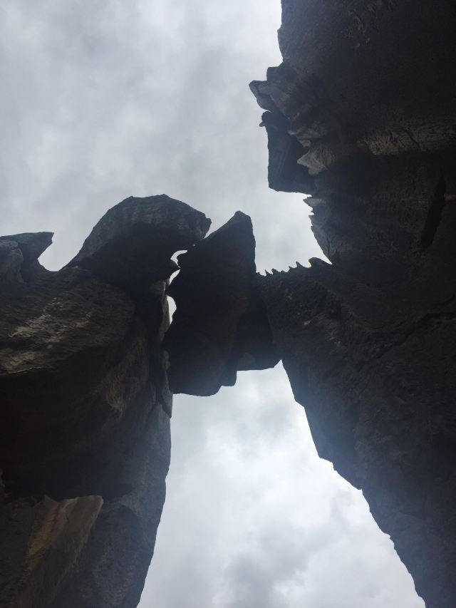 乃古石林风景区旅行图片 6