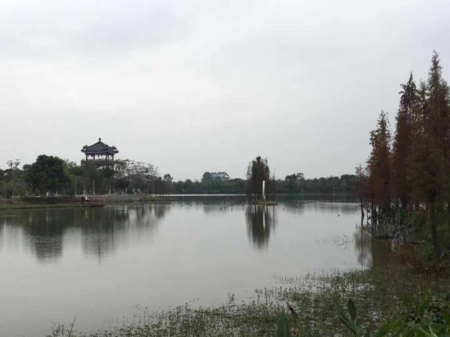 华阳湖国家湿地公园旅行图片 10