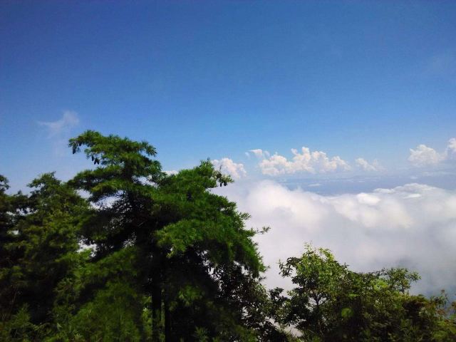 天台国家森林公园天台山索道旅行图片 2
