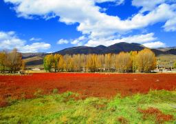 travel picture