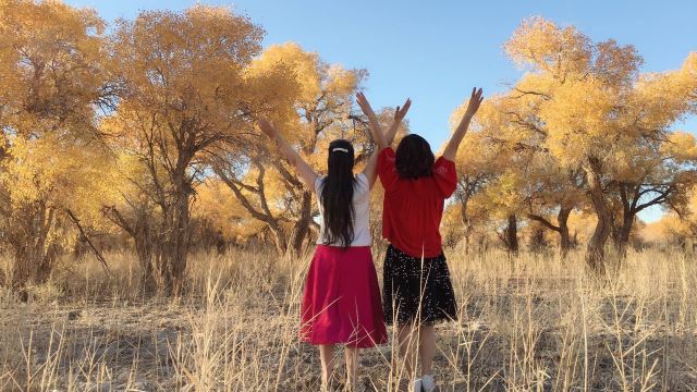 胡杨林旅行图片 1