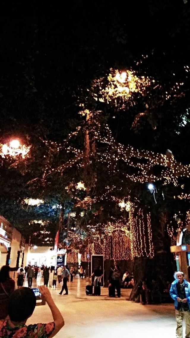 惠远古城旅行图片 2