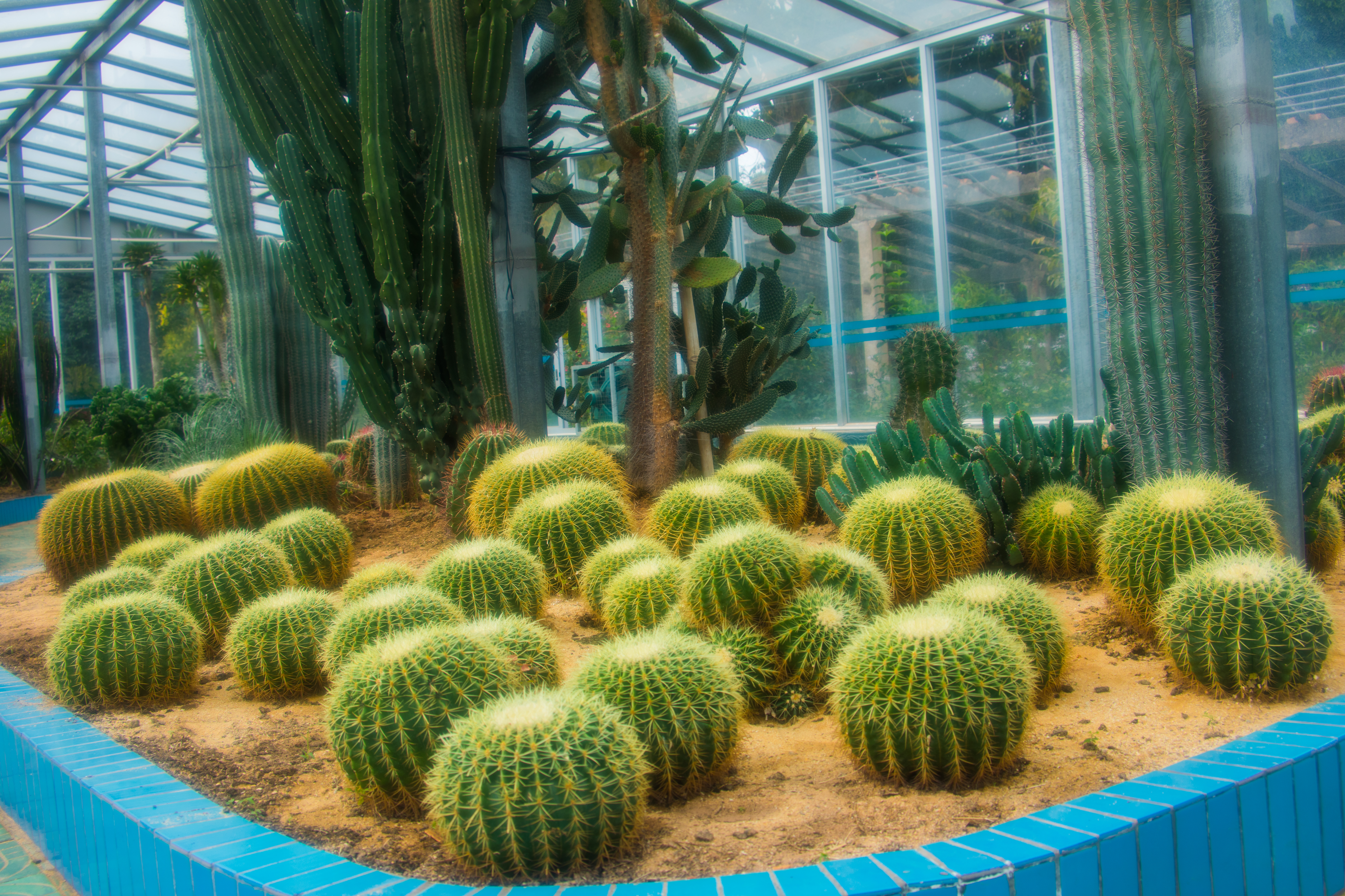 南亚热带植物园
