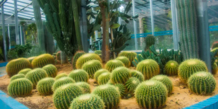 湛江南亞熱帶植物園