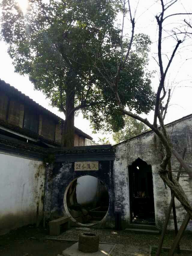 青藤书屋旅行图片 2