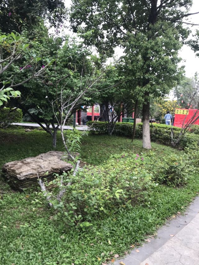 华阳湖国家湿地公园旅行图片 4