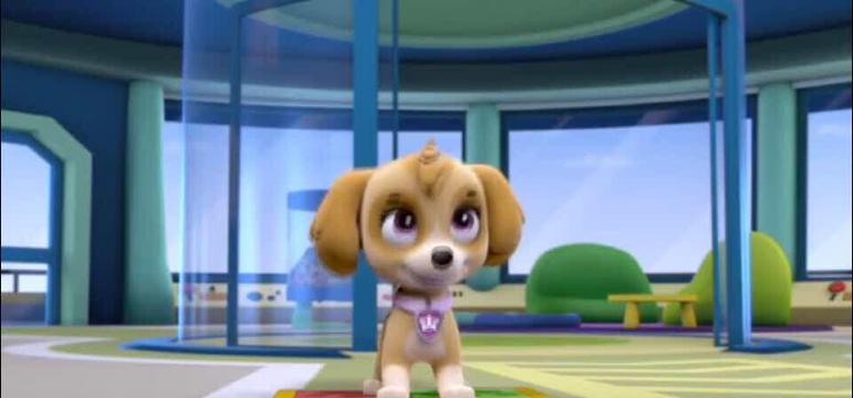 喜旺食品(烟台春都店)