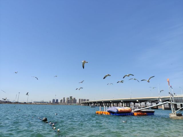 滨海公园旅行图片 8