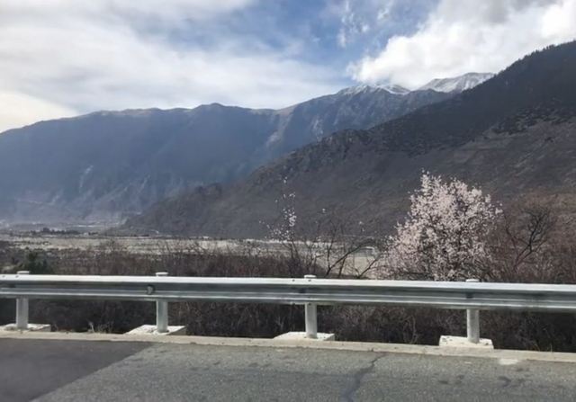 嘎拉桃花源旅行图片 3