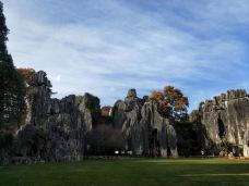 李子箐石林-石林-一只小戆度