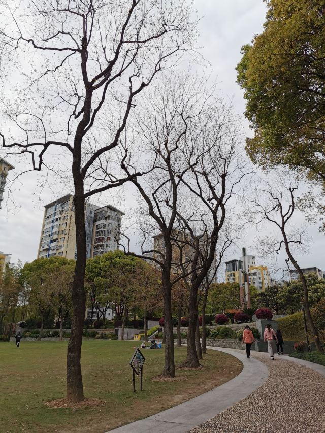 祥和公园旅行图片 1