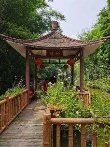 天鹿湖森林公园-广州-第二号爱人