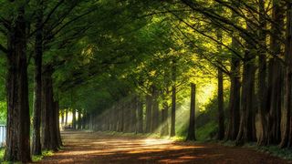 寻一处沐浴身心的温泉养生之地，乐享森林海度假好时光