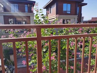 南丽湖边|夏天的期待