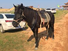 厚田沙漠-南昌-SaintShaina99