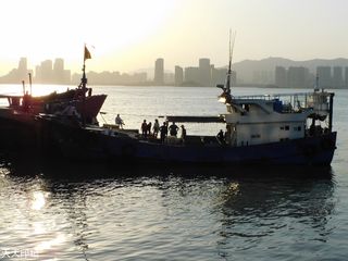 厦门海边鱼市随拍