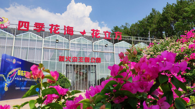 五一假期怎么玩，最适合宅家被闷坏的武汉人，全家人都适合