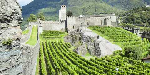 貝林佐納三座要塞及防衛牆和集鎮