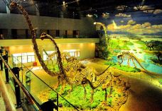 自贡恐龙博物馆-自贡-赖宝小乖