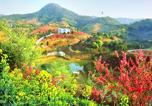 从化大金峰百花果景区