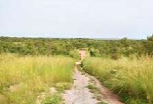 W National Park景点图片