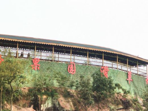 富顺欢乐圣果园