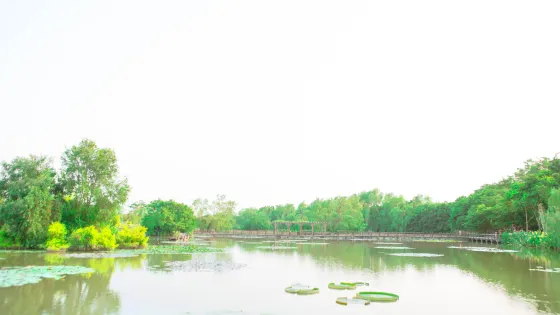 南沙濕地尋夢園