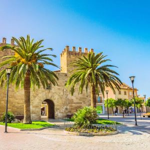 Alcudia