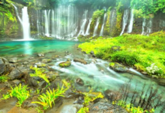 白丝之泷景点图片