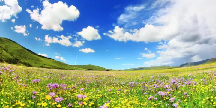 俄麼塘花海景區