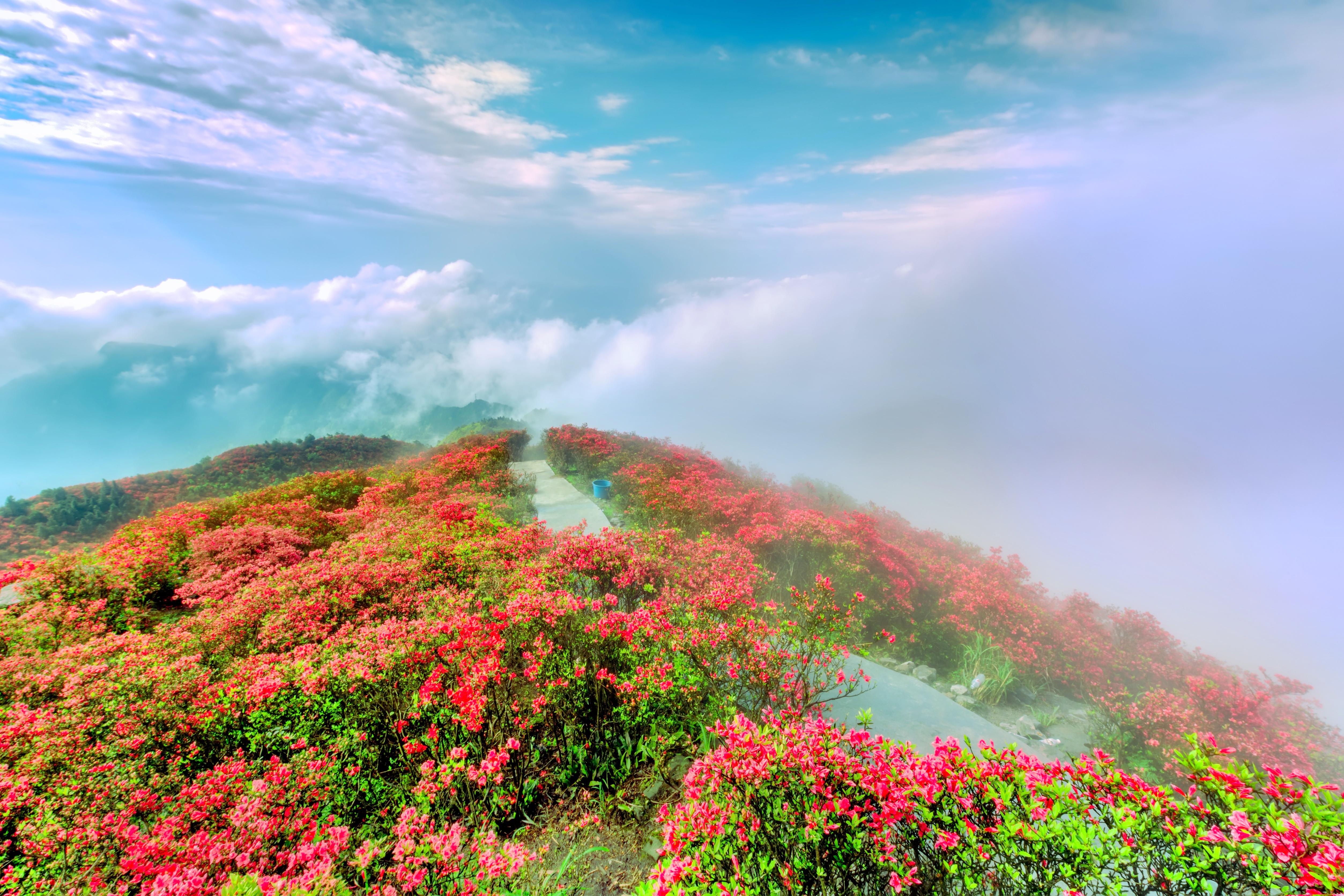 龙泉山