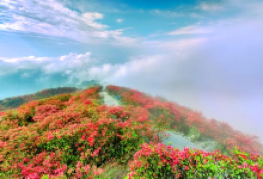 龙泉山景点图片