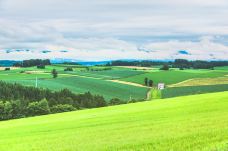 美瑛町-doris圈圈