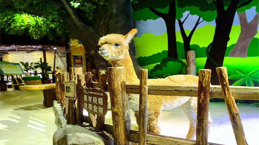 格林·噜咔奇幻动物王国