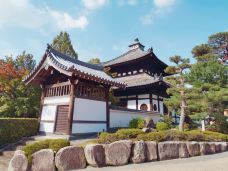 东福寺-京都-用脚下的路丈量这个世界